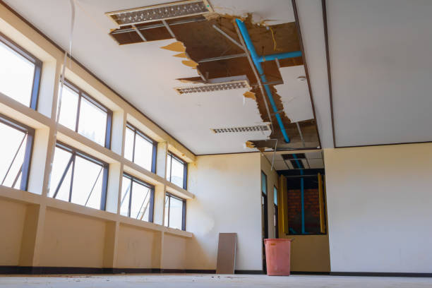 Best Water damage restoration near me  in Greenville, GA