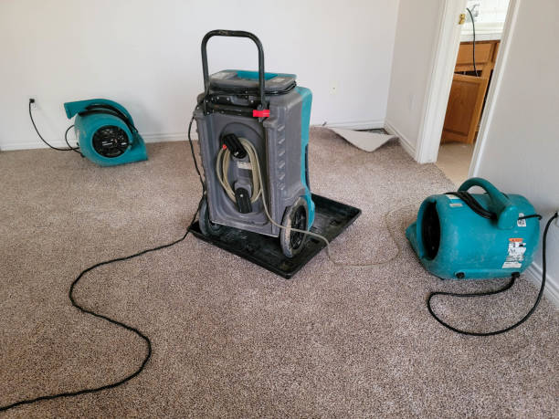Best Water damage restoration services  in Greenville, GA