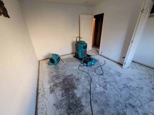 Best Water damage restoration near me  in Greenville, GA