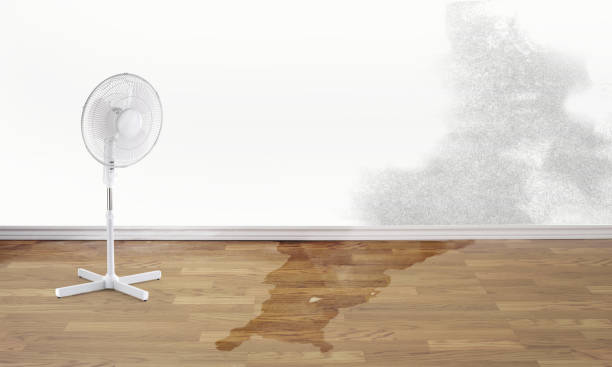 Best Water damage contractors near me  in Greenville, GA