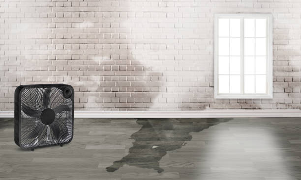 Best 24/7 water damage repair  in Greenville, GA