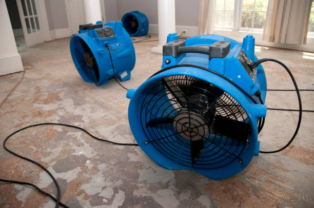 Best Emergency water extraction  in Greenville, GA