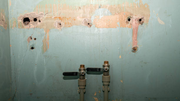 Best Emergency water damage restoration  in Greenville, GA