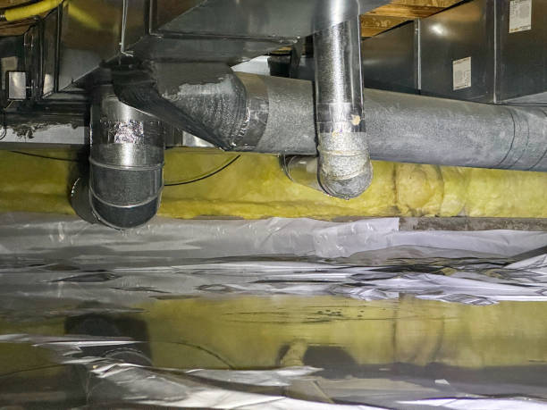 Best Flood damage cleanup  in Greenville, GA