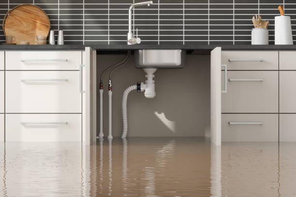 Best Emergency water damage restoration  in Greenville, GA