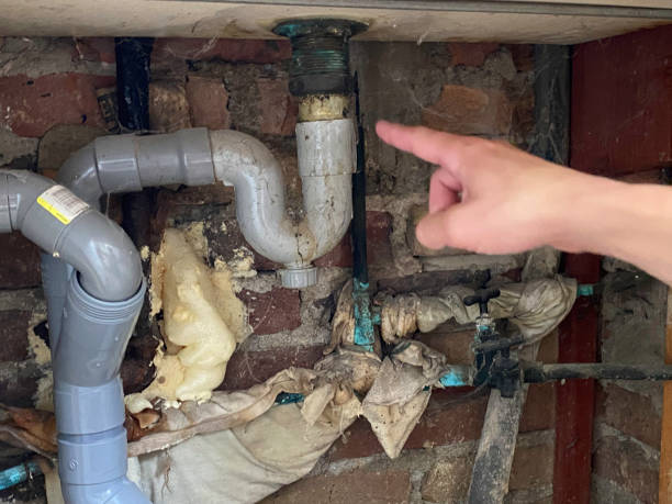 Best 24-hour water damage restoration  in Greenville, GA